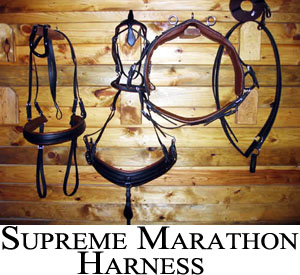 Supreme marathon harness
